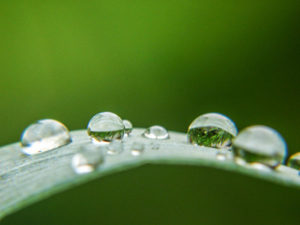 Fotografisch sehen lernen Wassertropfen Fotografisch sehen lernen Wassertropfen